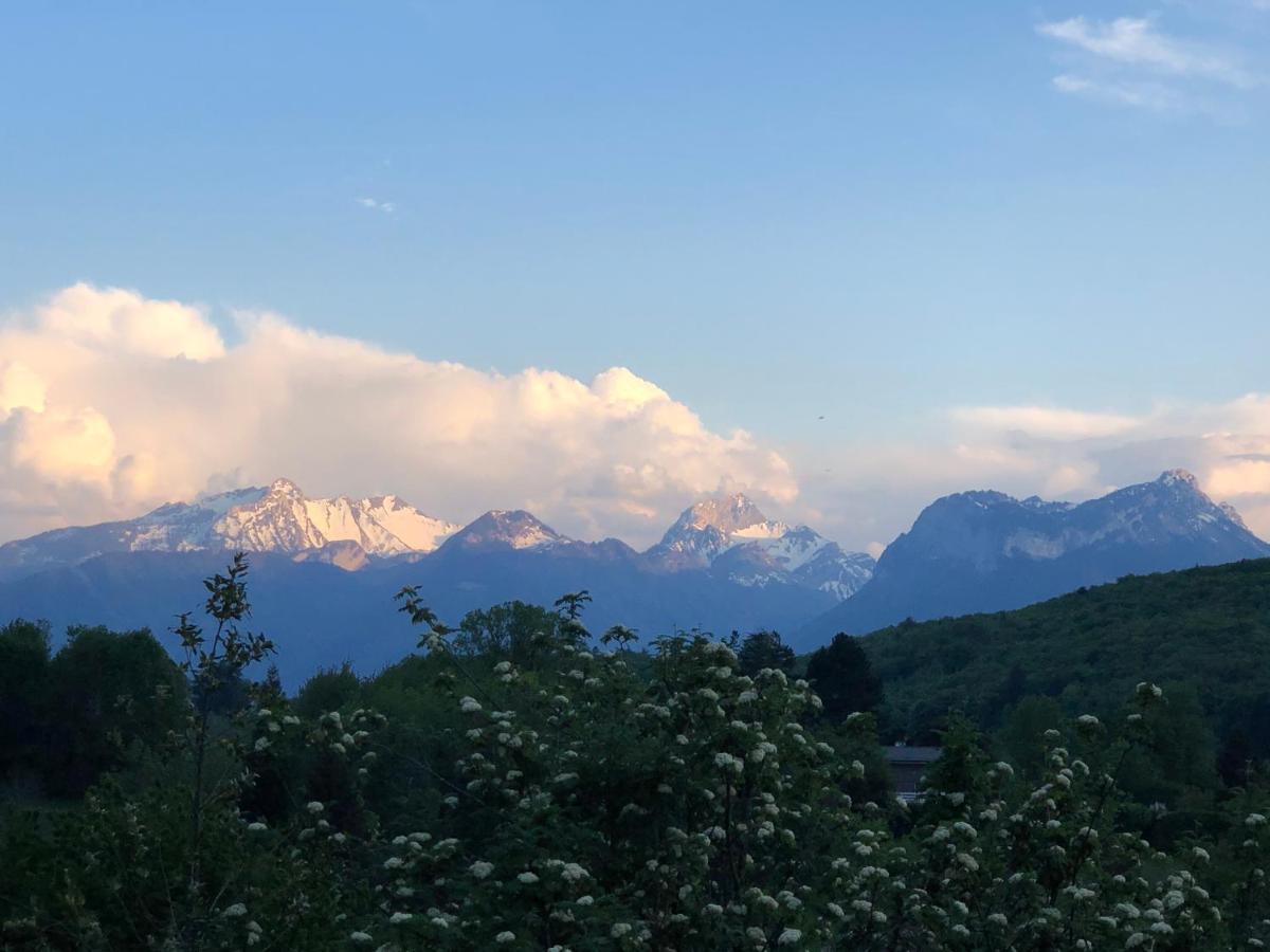 Vue Exceptionnelle Sur Lac D'Annecy Et Montagnes Villa Menthon-Saint-Bernard Esterno foto