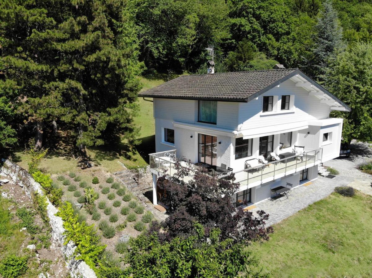 Vue Exceptionnelle Sur Lac D'Annecy Et Montagnes Villa Menthon-Saint-Bernard Esterno foto