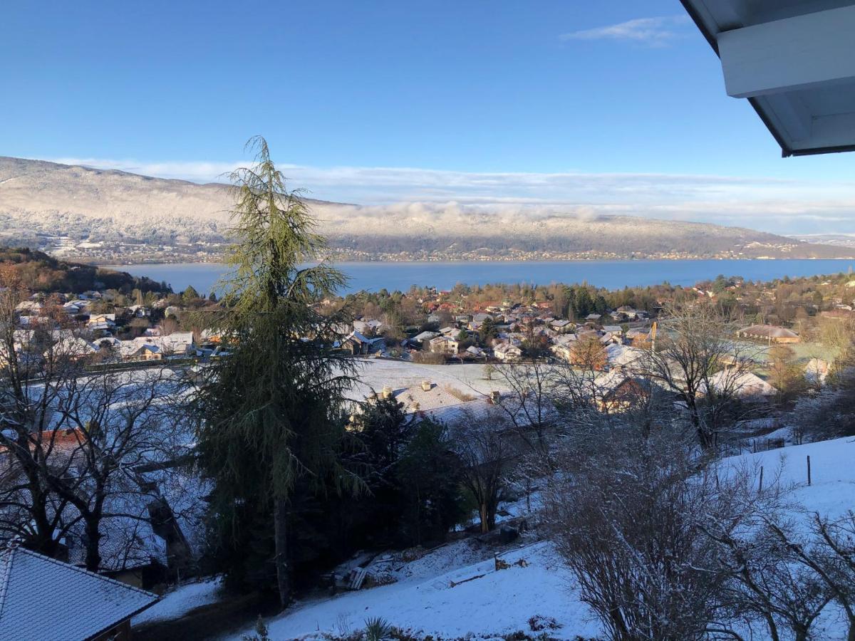 Vue Exceptionnelle Sur Lac D'Annecy Et Montagnes Villa Menthon-Saint-Bernard Esterno foto